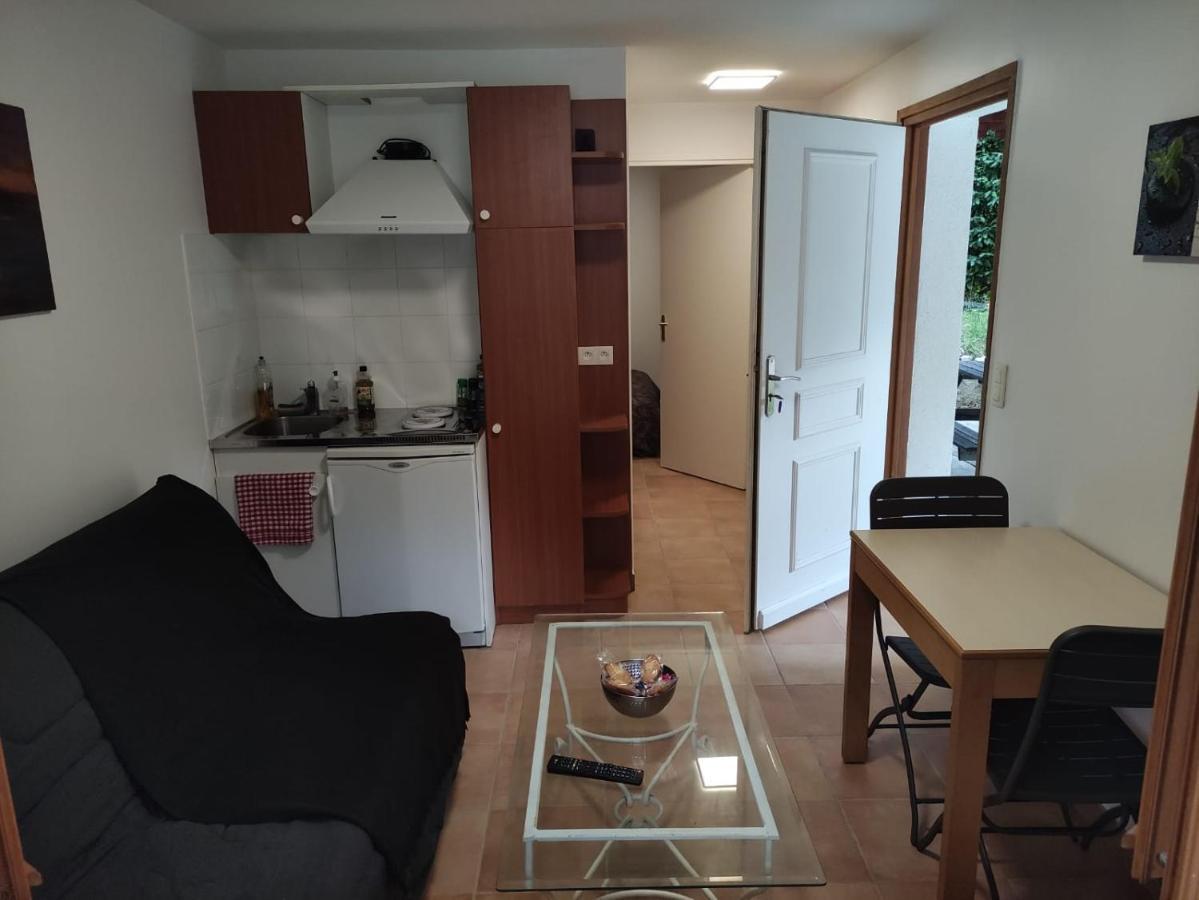 Deux Pieces Avec Grande Terrasse Au Calme Apartment Saint-Martin-Vesubie Ngoại thất bức ảnh